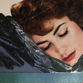 "¡Esto es solo una especie de sur!": collages en estilo retro como un nuevo tipo de belleza