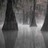 Estos paisajes te dejan sin aliento: 15 ganadores del concurso internacional de fotografía panorámica