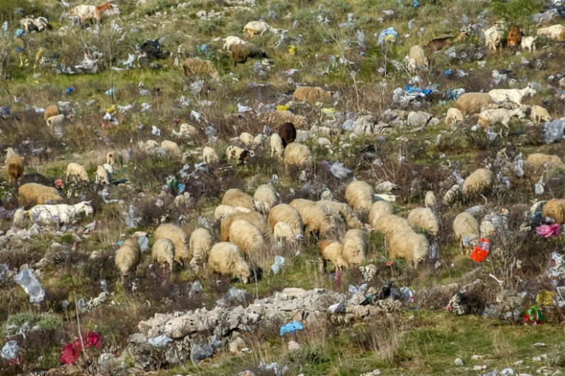 Eye-Opening Photos Show How Plastic Waste is Polluting Our Planet