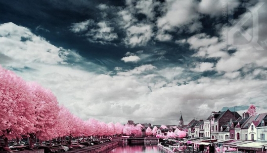 Fairy world in infrared light Fairy world in infrared light