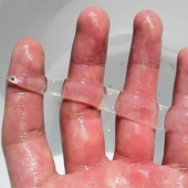 Fantastic beasts: transparent animals, whose existence is hard to believe