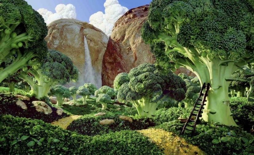 Fantastic landscapes of food. It happens like this