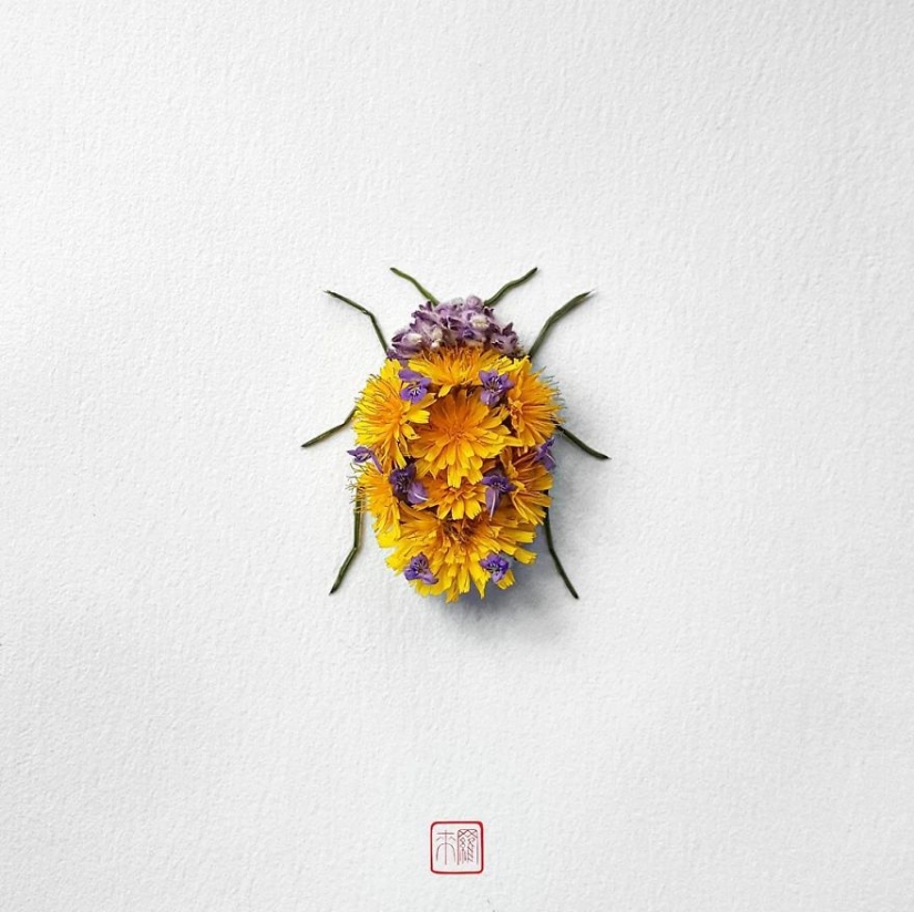 Flower insects