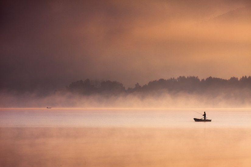 Foggy life on the lake