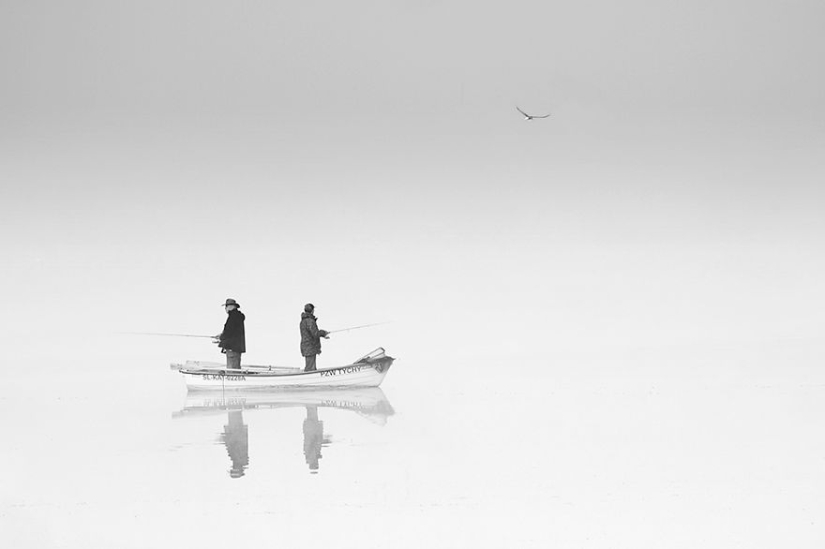 Foggy life on the lake