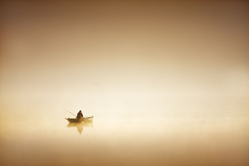 Foggy life on the lake