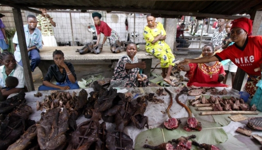 Folk medicines of exotic animals can cause a pandemic worse than Covid-19