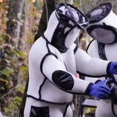 Footage from the operation to destroy the nest of killer hornets in the United States amazed users