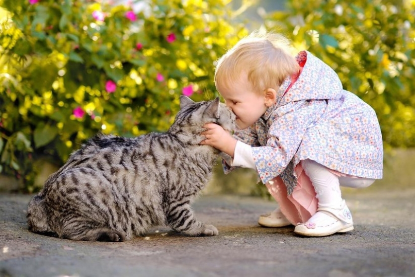 Fotos adorables, demostrando que tu hijo necesita un gato