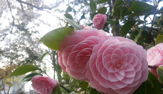 Fotos perfectas que harán las delicias de cualquier perfeccionista