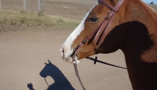 Fotos que llevarán tu mente más allá de la razón