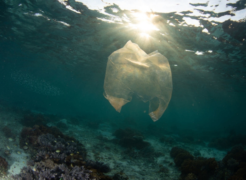 Fotos reveladoras muestran cómo los desechos plásticos están contaminando nuestro planeta