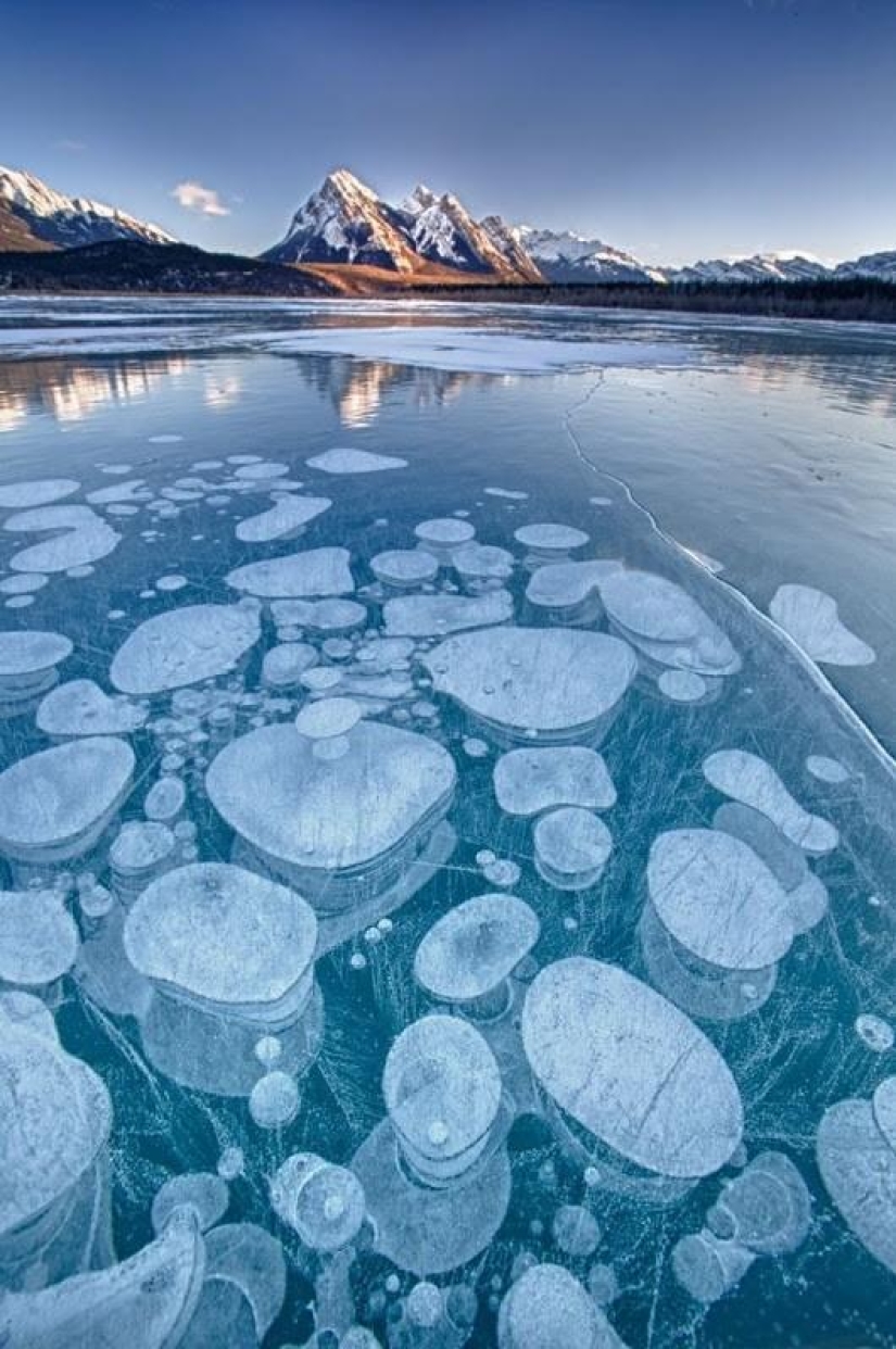 Frozen air bubbles in the lake