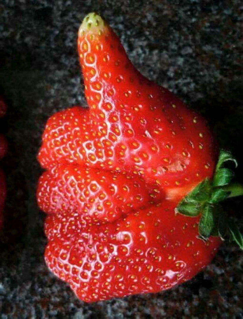Frutas y verduras, que nos recuerdan que la naturaleza tiene un gran sentido del humor