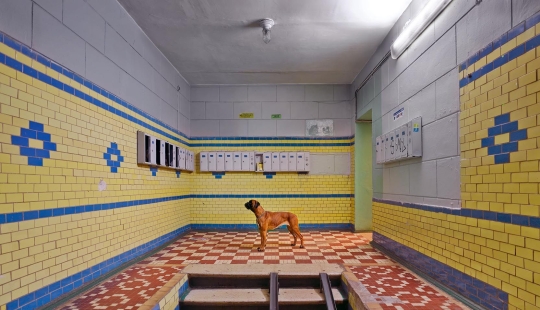 Fuerte y sincero: cómo se ve Rusia en la lente de un fotógrafo alemán