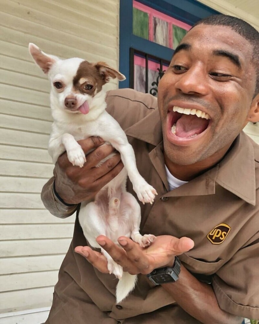 Funny courier photographed with every dog he meets