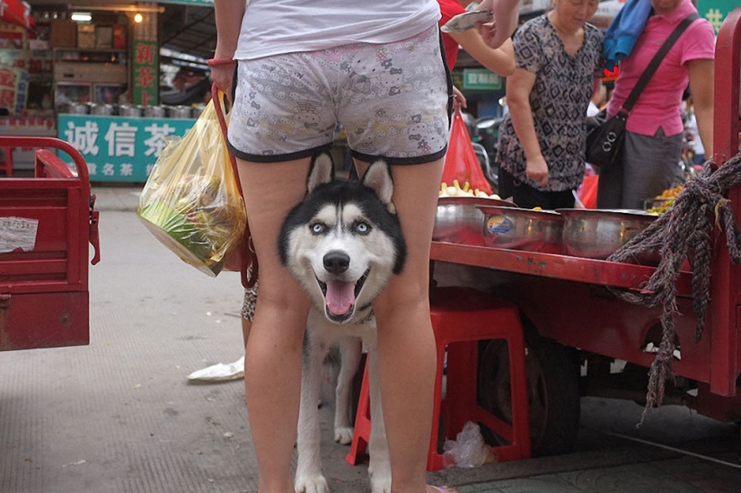 Funny street photos from China