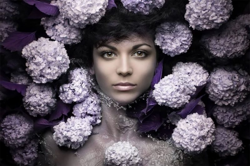 Garden beauty: conceptual flower portraits Evgeny Kolesnik