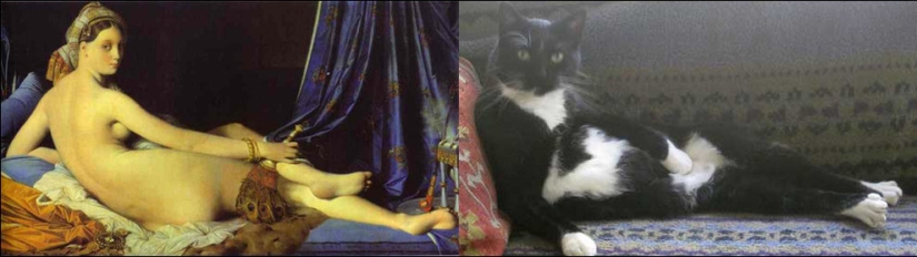 Gatos y arte