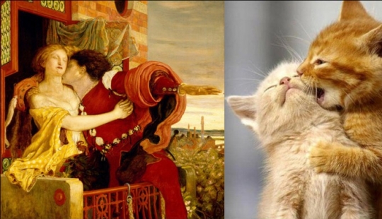 Gatos y arte
