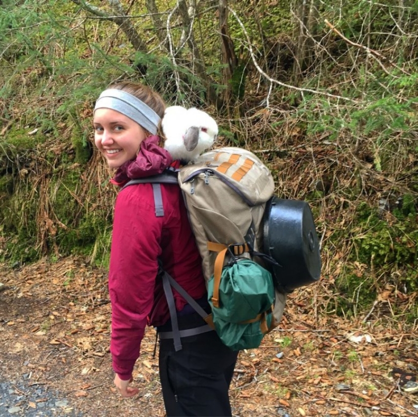 Girl travels with decorative rabbit