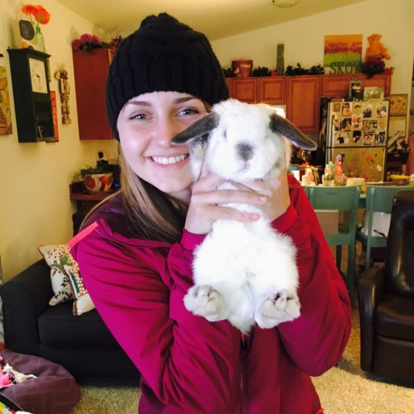 Girl travels with decorative rabbit