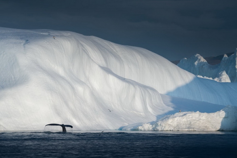 Glaciares y silencio: La belleza desaparecida de Groenlandia a través de la lente de Albert Dros