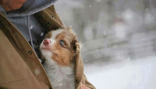 God help me to be the kind of person my dog thinks I am