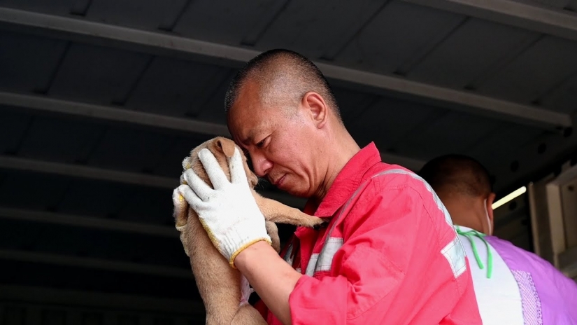Good mission: a monk from Shanghai takes care of 8,000 homeless animals