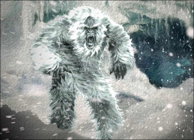 Has the Bigfoot mystery been solved? Possible ancestors of the Yeti have been found