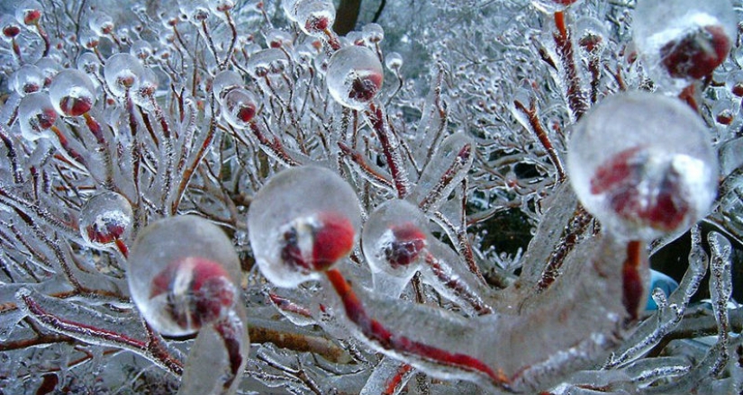 Helado de inspiración — 23 fotos de interesantes formaciones de hielo
