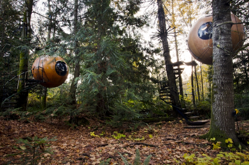 Hotel canadiense para aquellos que no han dejado de soñar con una casa en un árbol