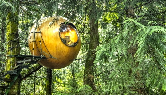 Hotel canadiense para aquellos que no han dejado de soñar con una casa en un árbol