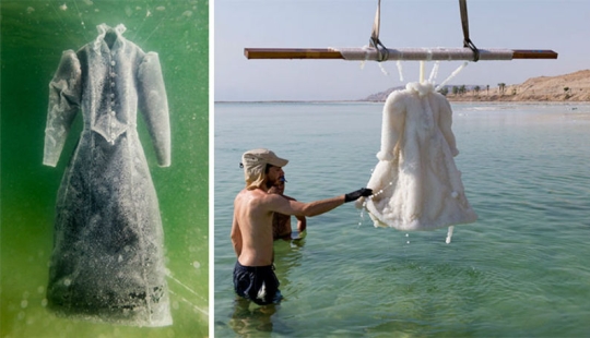 How a black dress turned into a salty sculpture at the bottom of the sea