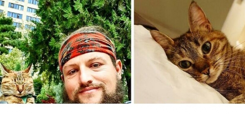 How a cat and her man circumnavigate the world on a bike - Pictolic