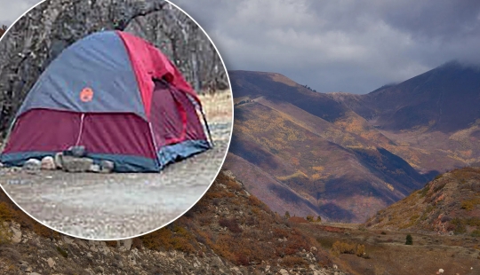 How a lost American woman survived for six months in the mountains, eating grass and moss How a lost American woman survived for six months in the mountains, eating grass and moss