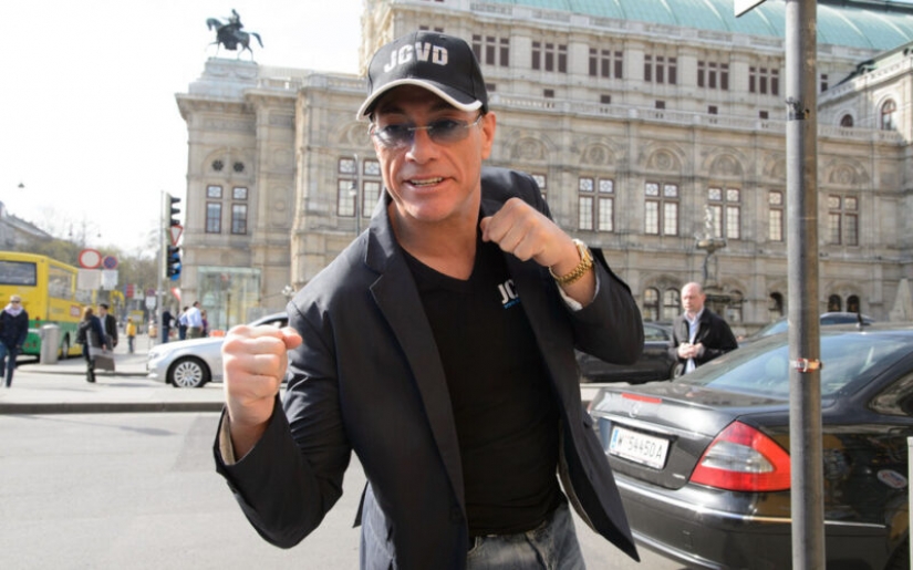 How Jean-Claude Van Damme saved a Chihuahua puppy Paradise from death