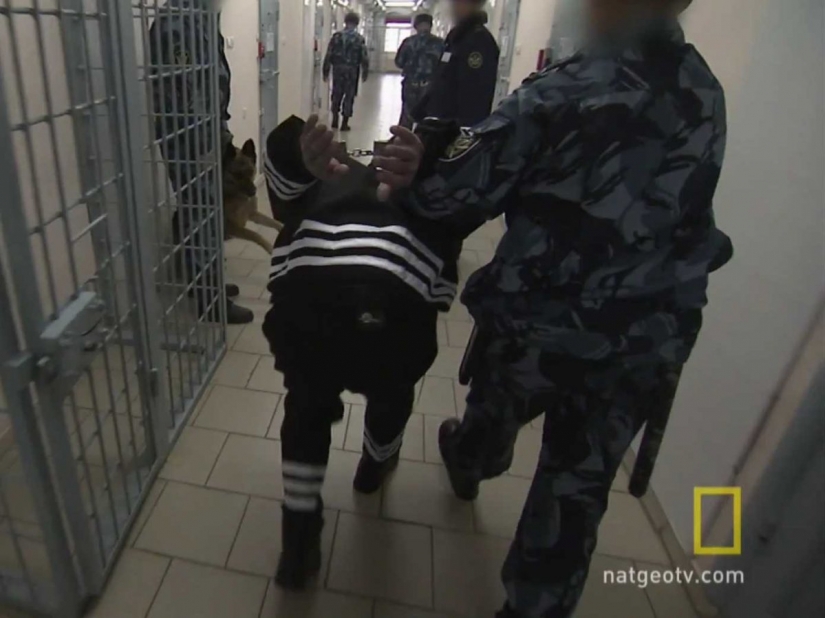 How one of the most severe prisons in Russia "Black Dolphin"is arranged