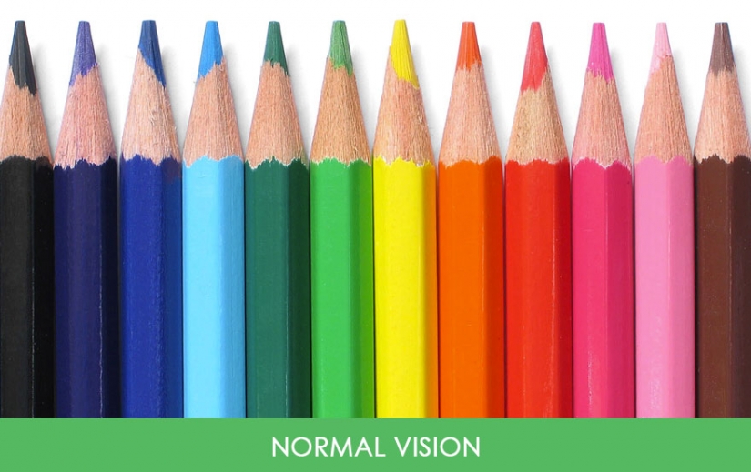 How people with color blindness see the world