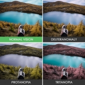 How people with color blindness see the world