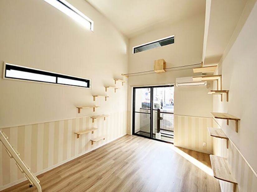 How to construct a home for lonely cat-lovers in Japan