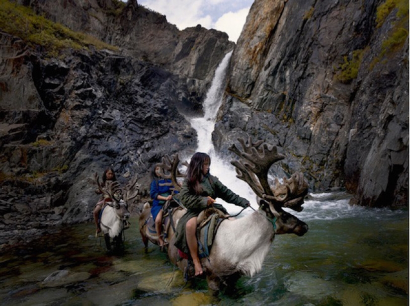 How to live an endangered tribe of reindeer herders from Mongolia