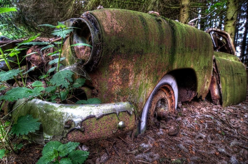 Huge traffic jam in the Belgian forest