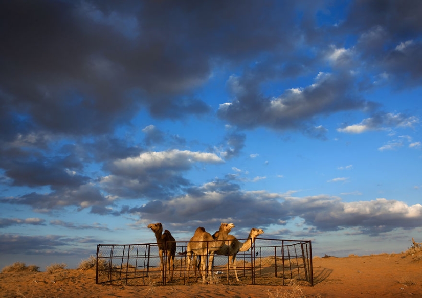 "I came to Saudi Arabia before the country was opened to tourists"