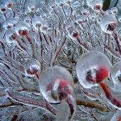 Icy inspiration — 23 photos of interesting formations of ice