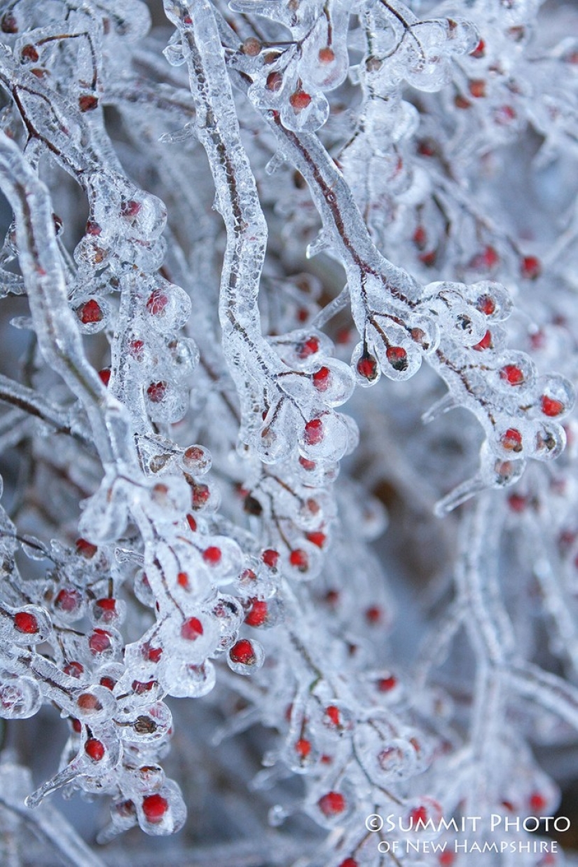 Icy inspiration — 23 photos of interesting formations of ice