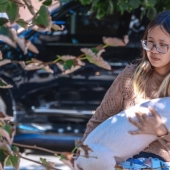 In Dnipro, a guest from the United States kept a calf and a pig in a rented apartment