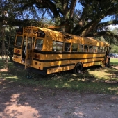 In Louisiana, an 11-year-old boy stole a school bus and crashed it into a tree