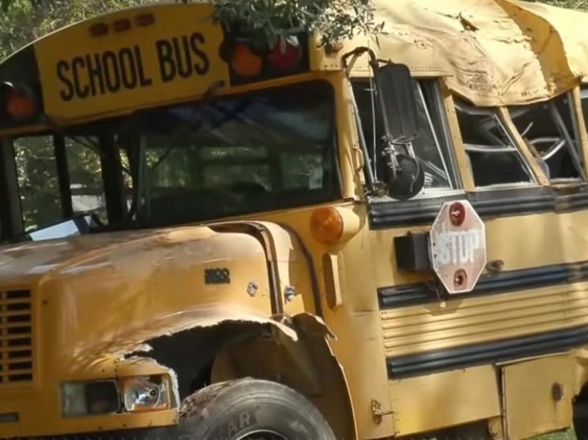 In Louisiana, an 11-year-old boy stole a school bus and crashed it into a tree