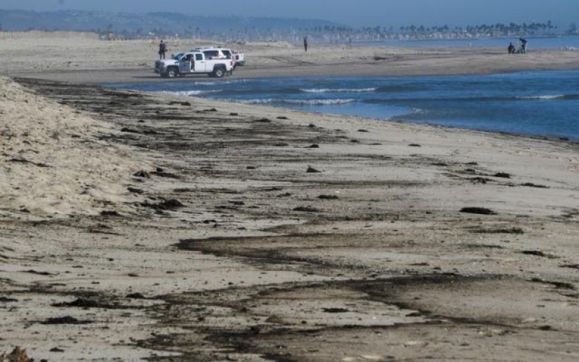 In photos: California oil spill kills fish and damages wetlands